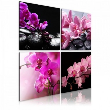 Quadro - Orchidee più belle che mai - 80x80