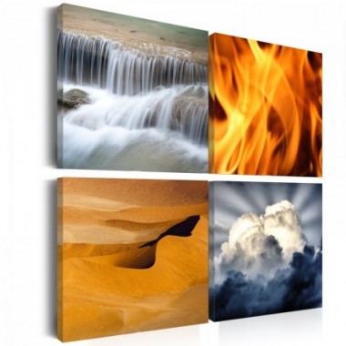 Quadro - Varieta' della natura - 80x80