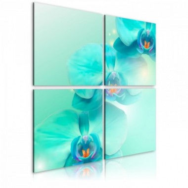 Quadro - L'azzurro di un orchidea - 60x60