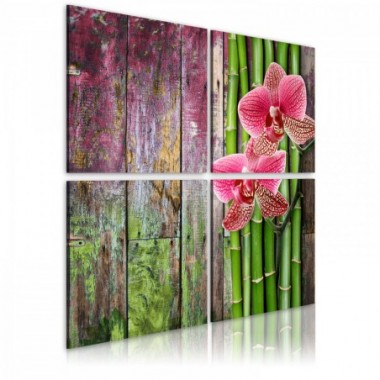 Quadro - Bambù e orchidea - 40x40
