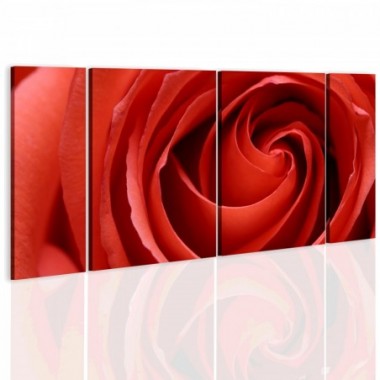 Quadro - Passionate rose - 60x30