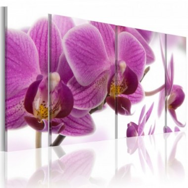 Quadro - Marvelous orchid - 60x30