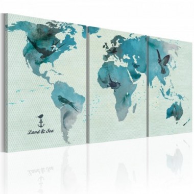 Quadro - Mappa ornitologica del mondo - 60x30