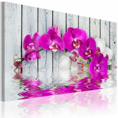 Quadro - armonia: orchidea - 60x40