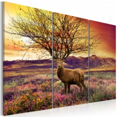 Quadro - Corna fantasiose: trittico - 120x80