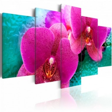 Quadro - Exotic orchids - 100x50