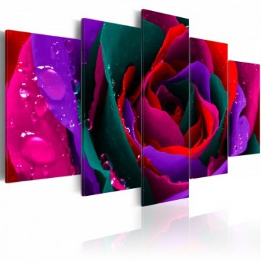 Quadro - Multicoloured rose - 100x50