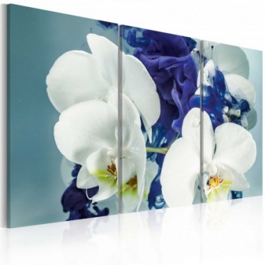 Quadro - Orchidee chimeriche - 120x80