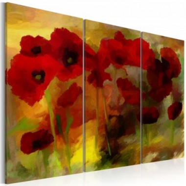 Quadro - Papaveri sofisticati - 60x40