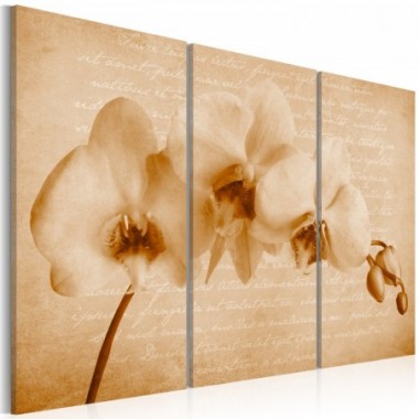 Quadro - orchidea (vintage) - 60x40