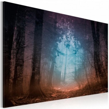 Quadro - Edge of the forest - 90x60