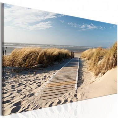 Quadro - Spiaggia selvaggia - 150x50