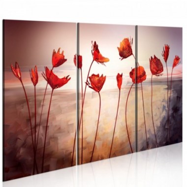 Quadro - Bright red poppies - 90x60