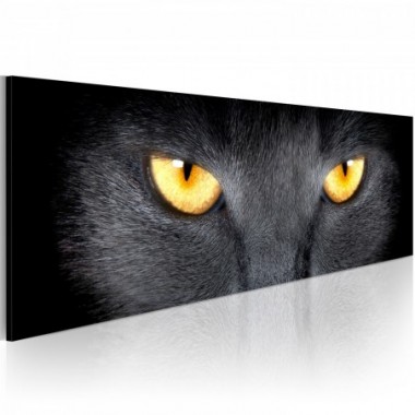 Quadro - Look into my eyes... - 120x40