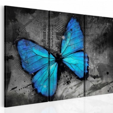 Quadro - Studio della farfalla - trittico - 90x60