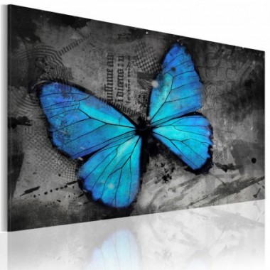 Quadro - Studio di una farfalla - 60x40