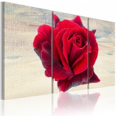 Quadro - Rosa lirica - 90x60