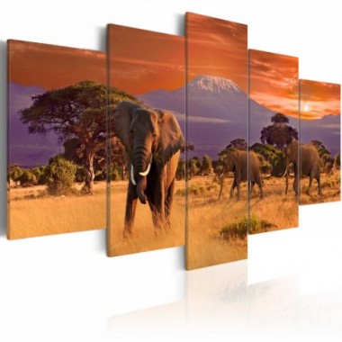 Quadro - Africa : Elefanti - 100x50