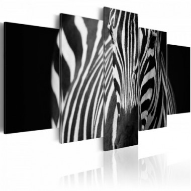 Quadro - Sguardo di zebra - 100x50
