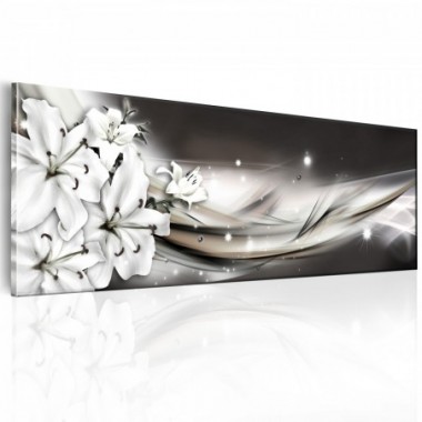 Quadro - Touch of finesse - 135x45