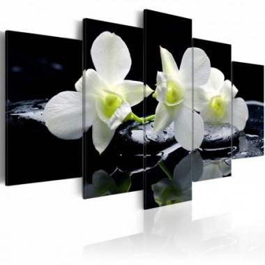 Quadro - Orchidee malinconici - 200x100