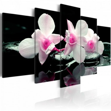 Quadro - Riposo d'orchidea - 100x50
