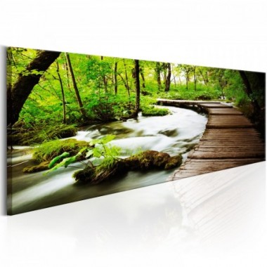 Quadro - Forest Song - 135x45