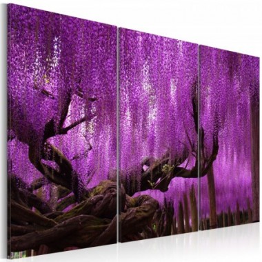 Quadro - Wisteria - 90x60