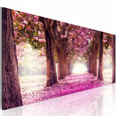 Quadro - Fuchsia giardino - 150x50