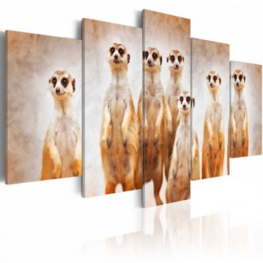 Quadro - Family of meerkats - 100x50