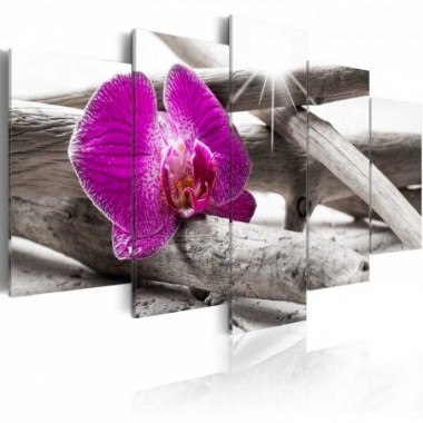 Quadro - Orchid on beach - 100x50