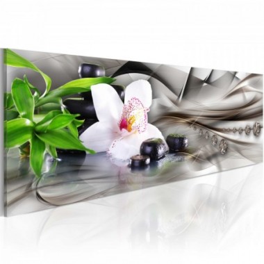 Quadro - Composizione Zen: bambù, orchidee e pietre...