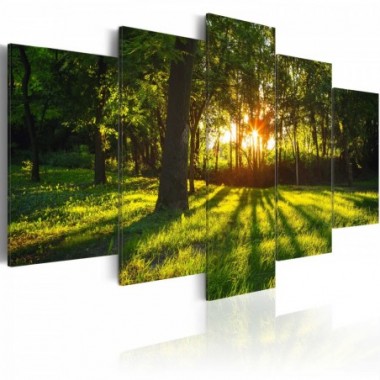Quadro - Riflessione silvestre - 100x50