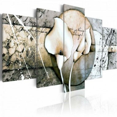 Quadro - Misterio di Calla: Grigio - 100x50
