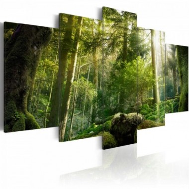 Quadro - Fascino della foresta - 100x50