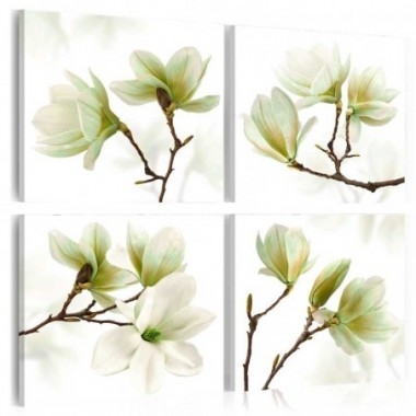 Quadro - Fascino della magnolia - 80x80