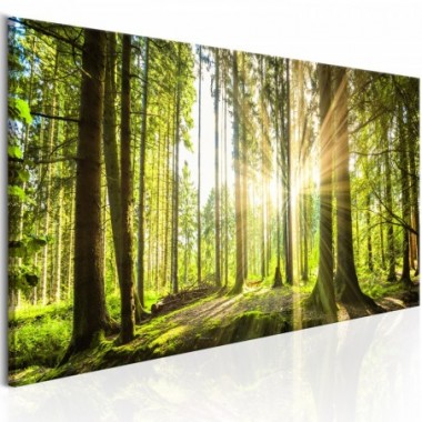 Quadro - Daylight - 150x50