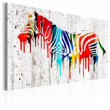 Quadro - Colourful Zebra - 90x60
