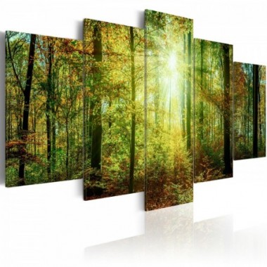 Quadro - Wild Forest - 100x50