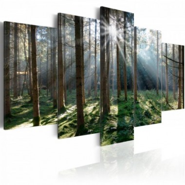 Quadro - Fairytale Forest  - 200x100