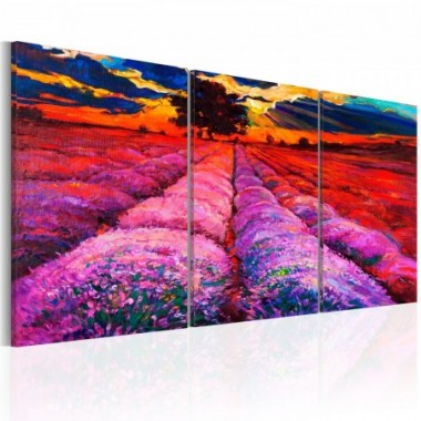 Quadro - Land of Colours - 60x30