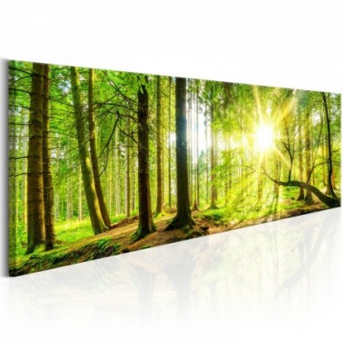 Quadro - Majestic Trees - 135x45