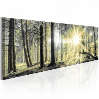 Quadro - Morning Forest - 120x40