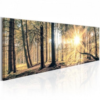 Quadro - Autumn Retreat - 150x50