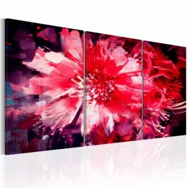 Quadro - Crimson Flowers - 60x30