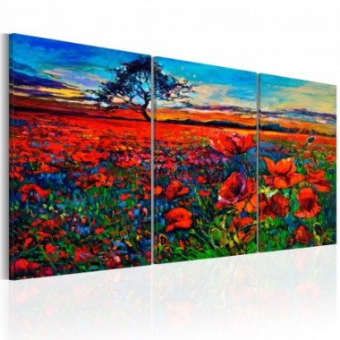 Quadro - Valley of Poppies - 120x60