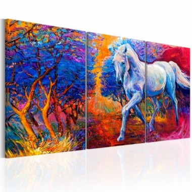 Quadro - Valley of Fantasy  - 120x60