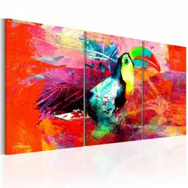 Quadro - Colourful Toucan - 60x30
