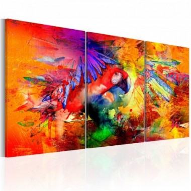 Quadro - Colourful Parrot - 120x60