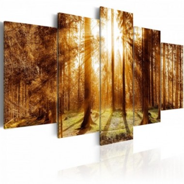 Quadro - Forest Illumination - 100x50